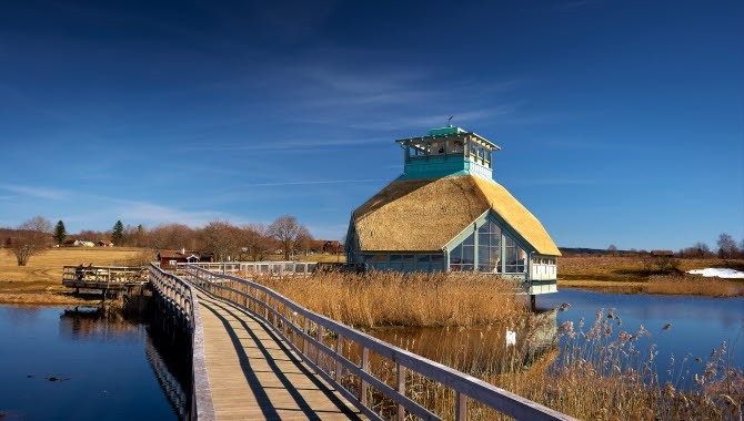 Trandansen, Hornborgasj�n